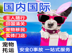 昆冈空运公司国际宠物托运 【国